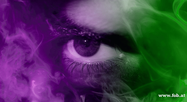 Sujetbild Spionage - Pixabay - Msporch - KI FOB Gif