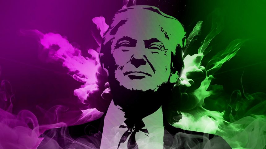 Donald Trump - Pixabay